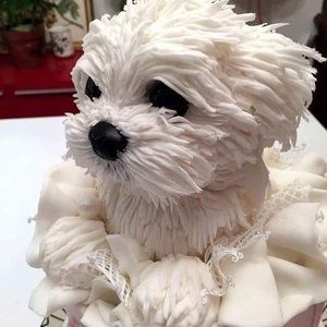 Meet your Posher, Patti